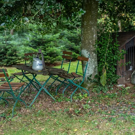 Blockhaus Paepke * Mühlenbach